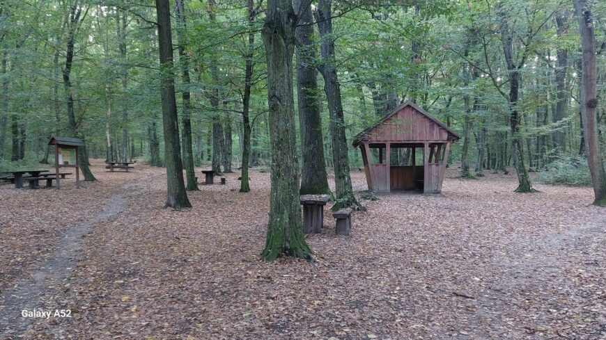 img_40_ev_utan_ujra-1