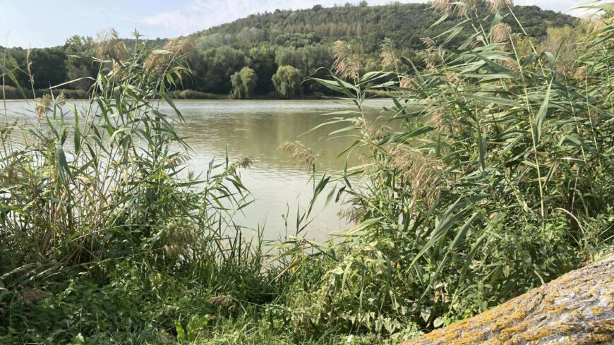 img_Felhosen_indul_Szekszardon_a_szerda-1