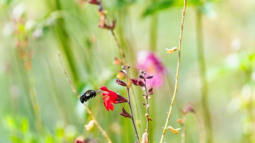 img_Hetfon_folytatodik_a_nyarias_ido-1