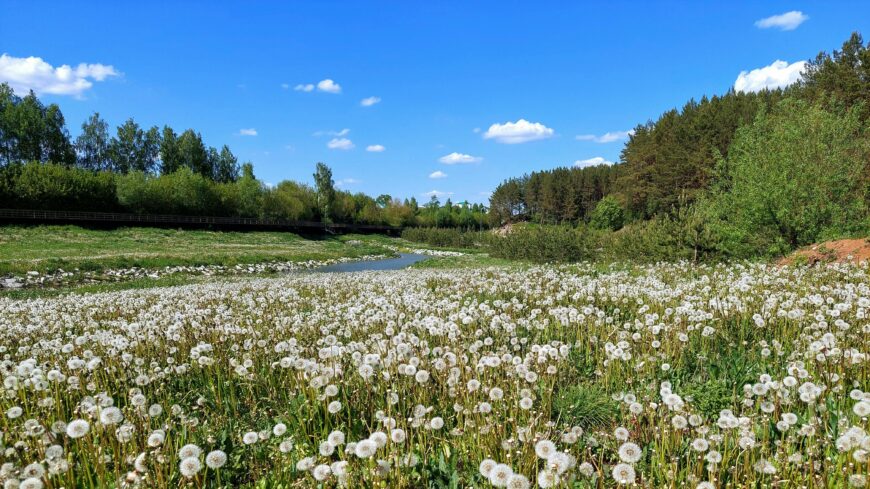 img_Napos_lesz_a_het_masodik_napja-1