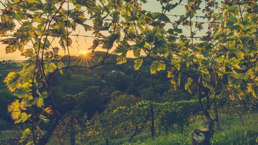 img_Tajekoztatas_a_zartkerti_ingatlanok_muveles_aloli_kivonasanak_lehetosegerol-3