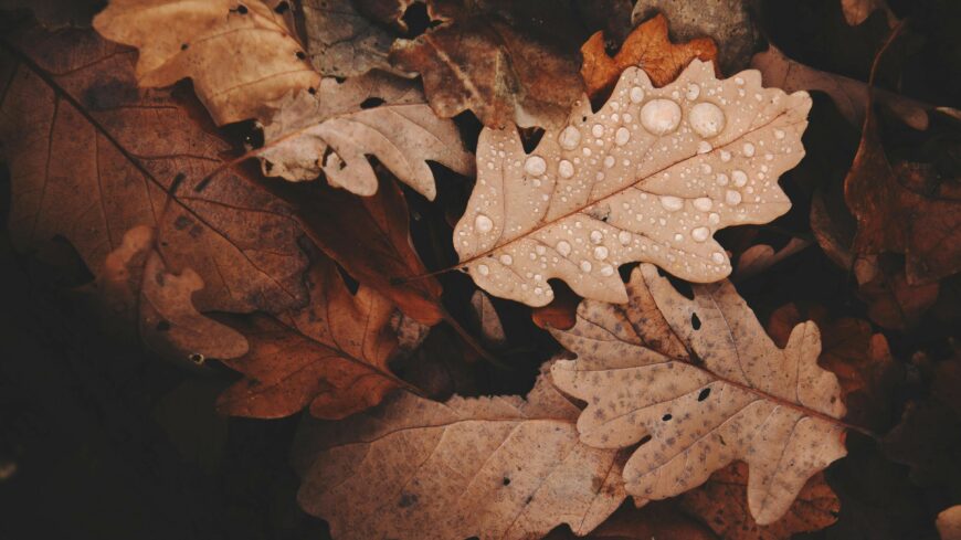 img_ujabb_hidegfront_erkezett-1