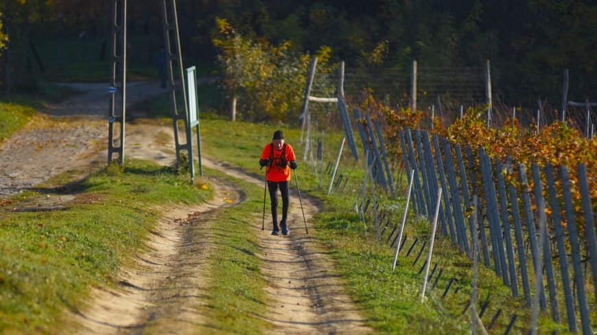 img_Az_orszag_minden_szegletebol_erkeznek_a_szekszardi_teljesitmenyturara-1