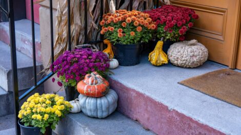 Ellenőrzéssorozat indul az ünnepek idején