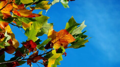 Halottak napja: enyhe idő várható az első novemberi hétvégén