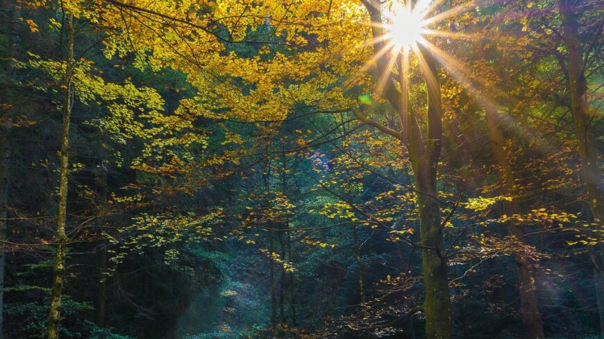 img_Igazi_oszi_hetvegenk_lesz-4