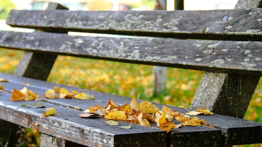 img_Marad_a_valtozekony_oszi_ido__csak_gyozzunk_alkalmazkodni-7