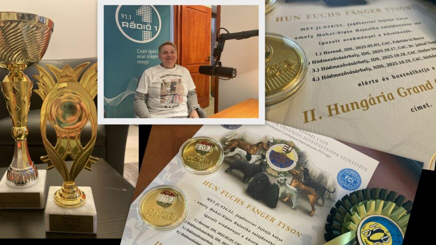 img_Tyson_ujabb_sikere-2