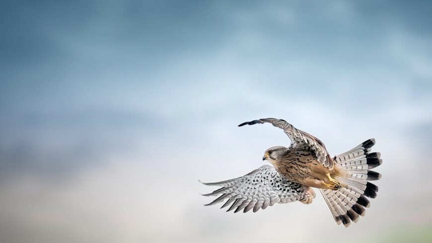 img_erdemes_kemlelni_az_eget_vasarnap_is-3