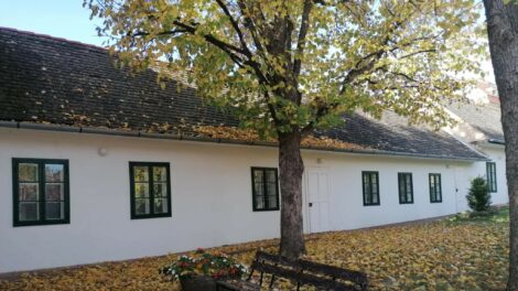 Borongós, őszi napunk lesz