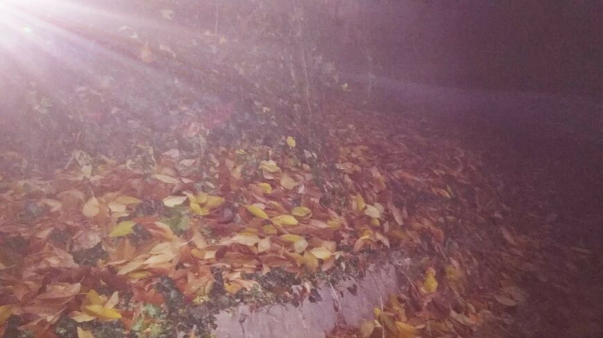 img_Borult_a_kedd_reggel-2