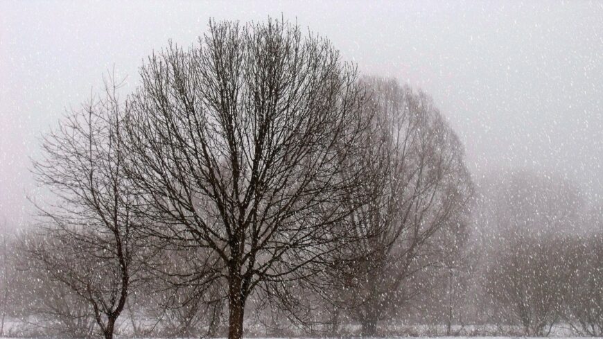 img_Havazas_varhato_a_hetvegen-1