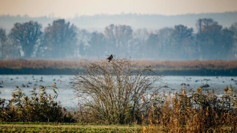 Hétfőn ingadozhat a vérnyomásunk
