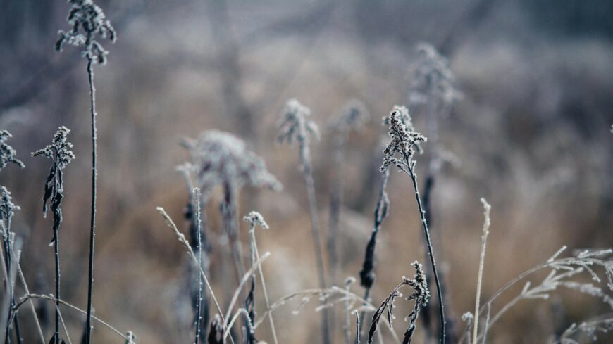 img_Hideg__szaraz_a_reggel-1