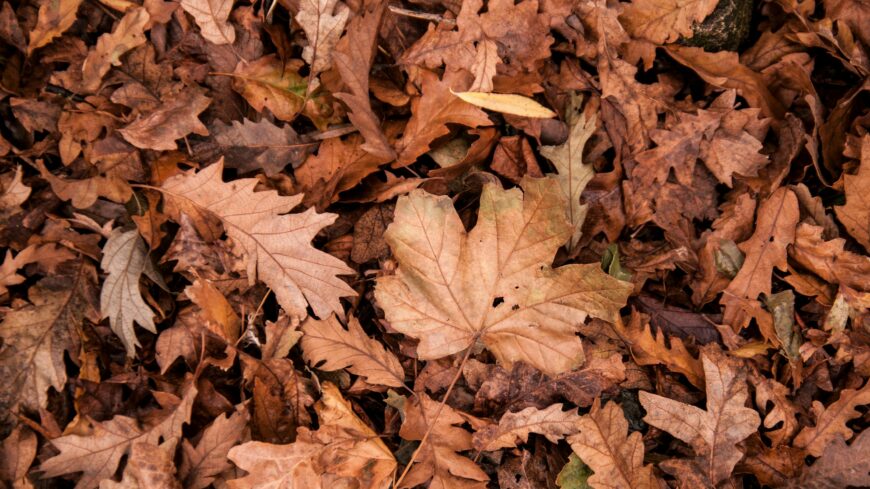 img_Hidegek_a_reggelek-1