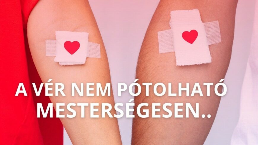 img_Hivatalos_mobilalkalmazas_es_Verado_Portal_indult_a_Magyar_veradok_napjan-2