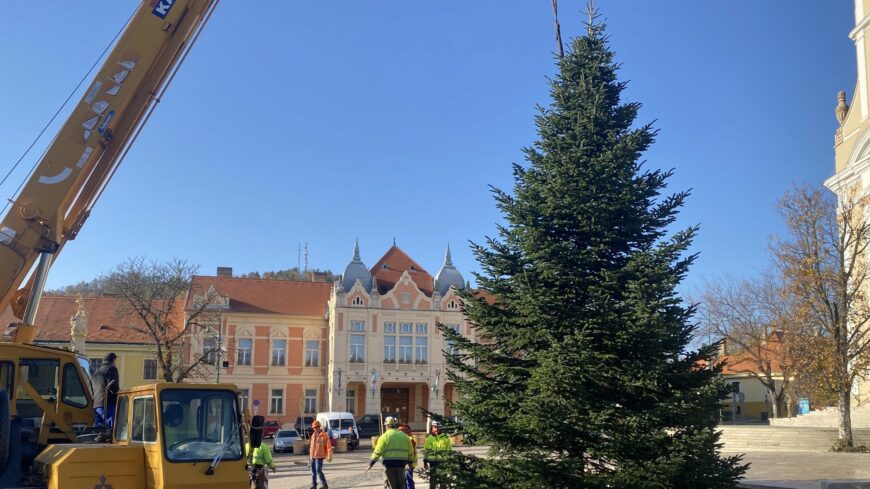 img_Keresik_a_varos_karacsonyfajat_-2