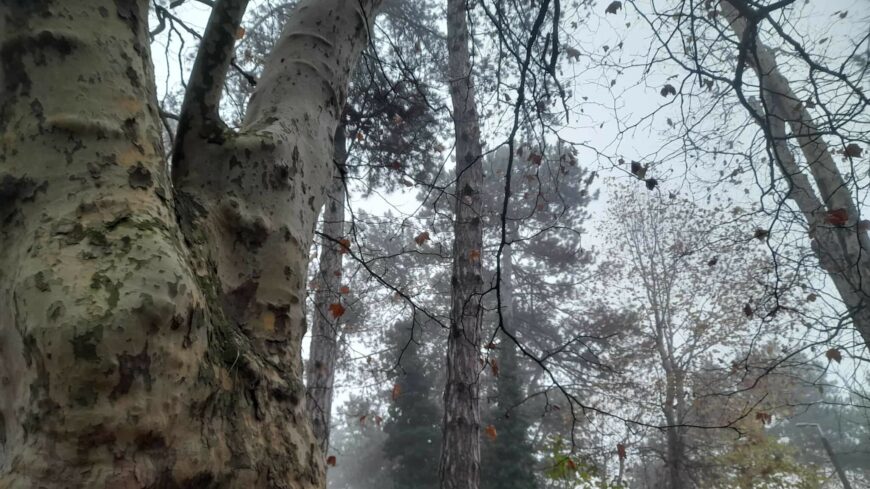 img_Kodos_tajakkal_koszont_rank_a_szombat