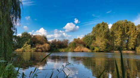 Megújul a komló-sikondai tó környezete