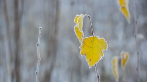 Napos-felhős lesz a hétvége első napja