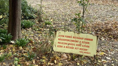 Napos lesz a hét közepe