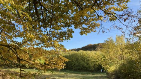 Szekszárdon szép napos a reggel