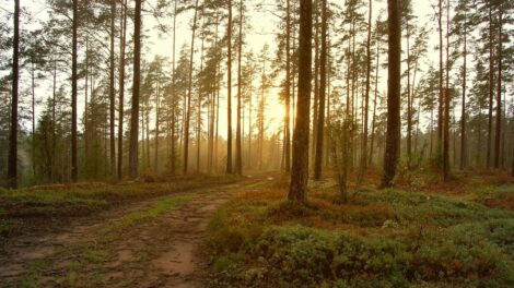 Tipikus őszi hétvégénk lesz keleten több, nyugaton kevesebb csapadékkal