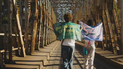 Tíz évig bérbe adják a Hajógyári-szigetet