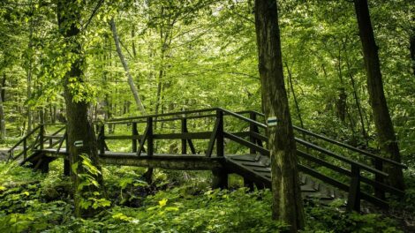 Turisztikai fejlesztések kezdődnek a Dunakanyarban