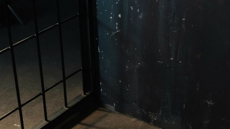 img_ujabb_diler_kerult_letartoztatasba