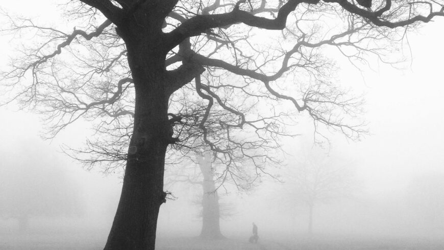 img_A_hetvegen_is_enyhe__de_borult_ido_varhato