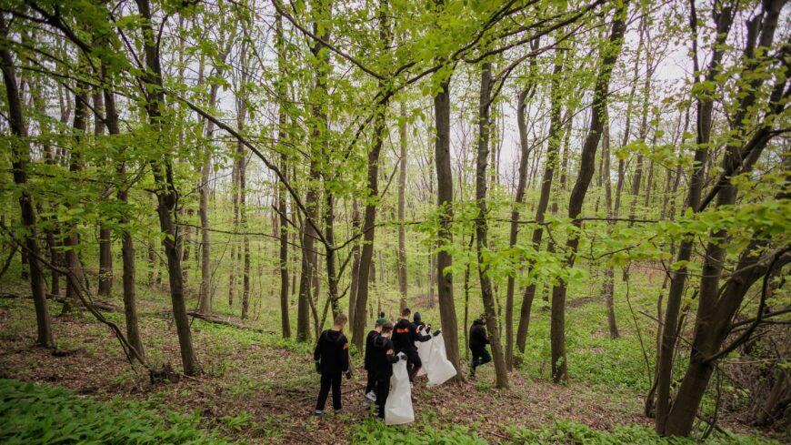 img_A_vilag_29__legzoldebb_egyeteme_a_PTE-2