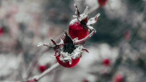Borongós, ködös napunk lesz