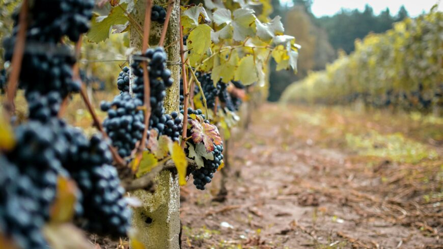 img_Fokozott_laboratoriumi_kapacitas-3