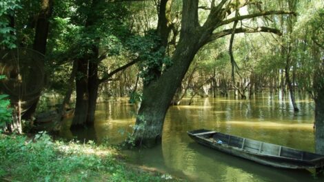 Folytatódik a vízpótlás a Gemenci erdőben