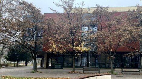 Ködös, szürke a hét közepe