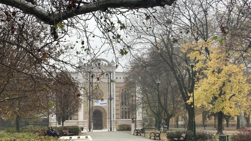 img_Kodos_napunk_van