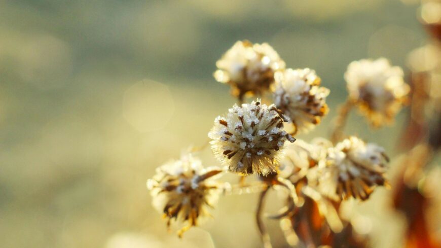 img_Lathatjuk_a_napot__de_hideg_lesz-1