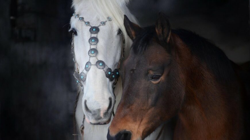 img_Lovas_evbucsuztatot_tartanak_a_Kortaportan