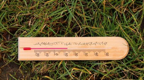 Megdőlt a hajnali melegrekord Budapesten