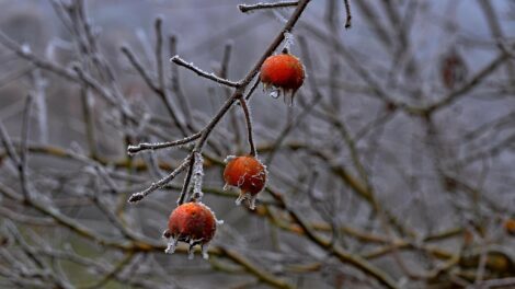 Napos reggel, felhős délután