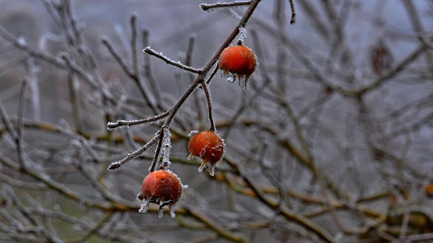 img_Napos_reggel__felhos_delutan