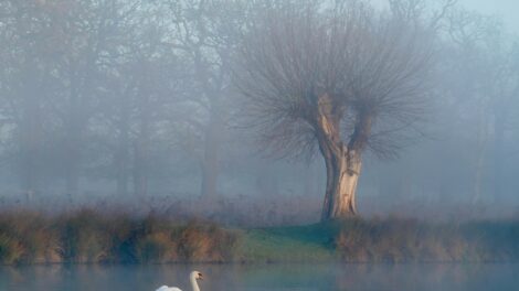 Nem változik időjárásunk