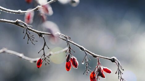 Sál, sapka, kesztyű, nagykabát – itt a hétvégi előrejelzés