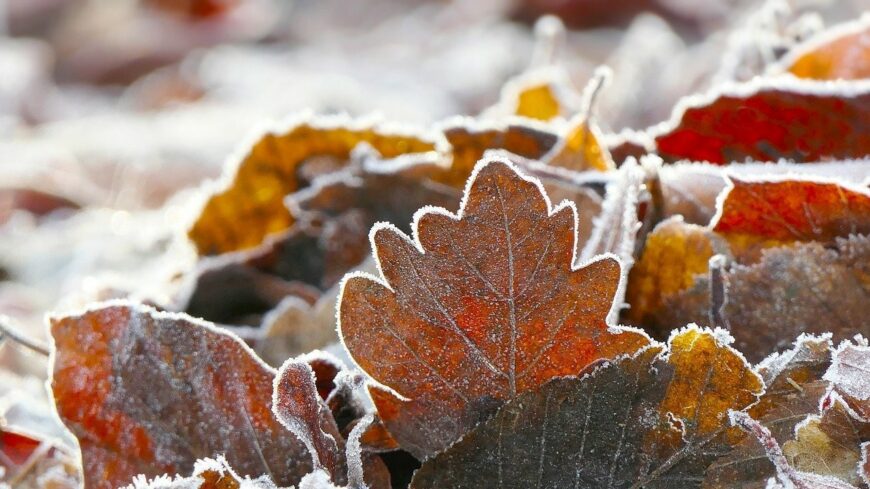 img_Szeles__de_napos_lesz_a_vasarnap__a_het_pedig_hideg_hajnalokkal_indul