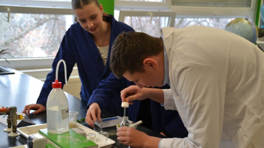 img_Tolna_Varmegyei_Kornyezetvedelmi_Vetelkedo-1