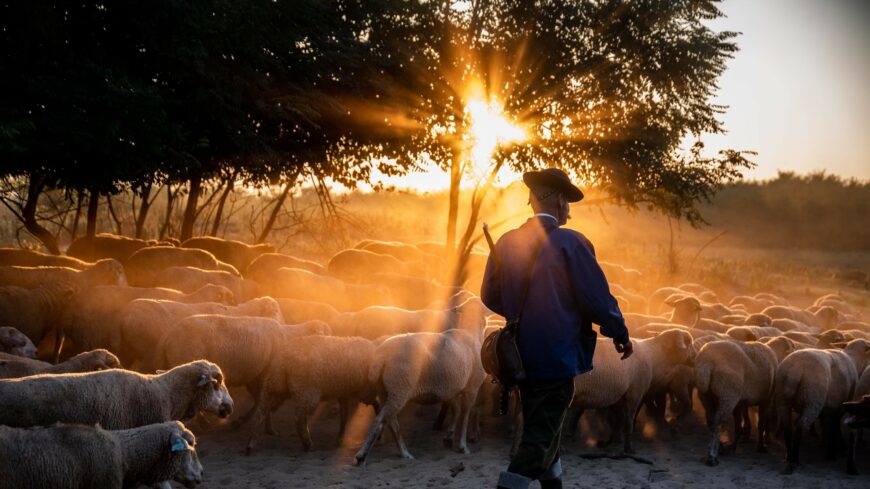 img_atadtak_A_gyepek_titkai_fotopalyazat_dijait-2