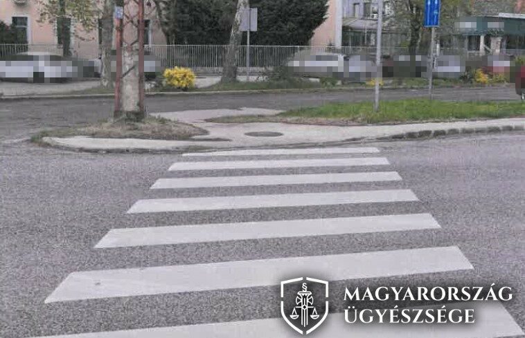 img_A_zebran_sodorta_el_a_gyalogost__majd_tovabbhajtott-3