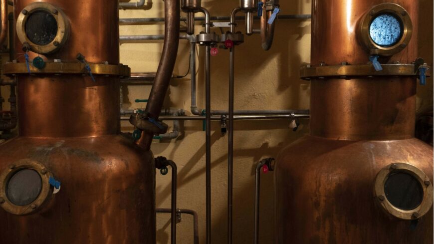 img_Egyetemi_kezben_a_jovo__uj_lenduletet_kap_az_agrarium_ujfeherton