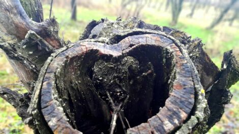 Enyhébb volt a reggel